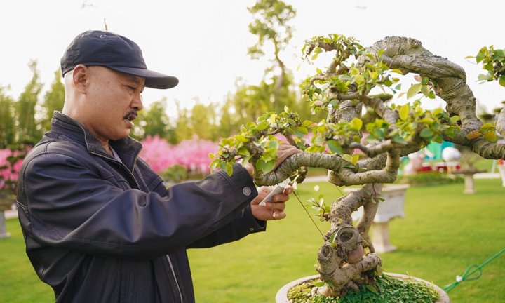 Lạc lối giữa xứ Phù tang tại lễ hội hoa xuân Vinhomes Smart City